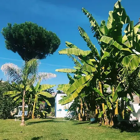 Casa Les Jardins Montesilvano Marina